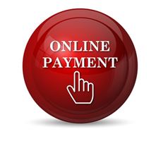 logo online payment